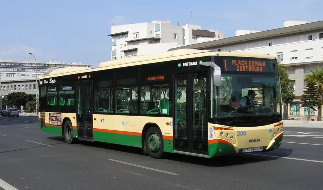 Ampliación del servicio de transporte para el Carnaval de Cádiz 2026